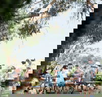 St Leonards Vineyard Caf - Accommodation Mooloolaba