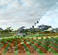 Vasse Felix Winery - Accommodation Mooloolaba