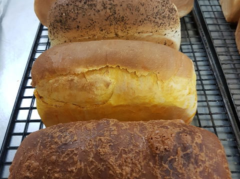 Plantation Organic Bakery - Accommodation Mooloolaba 0