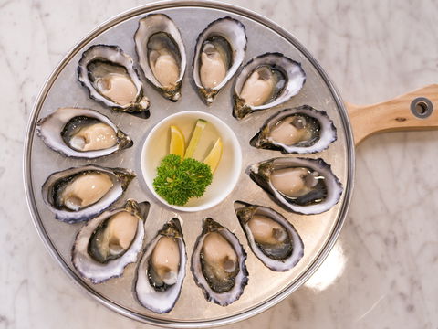 Tarkine Fresh Oysters - Accommodation Mooloolaba 2