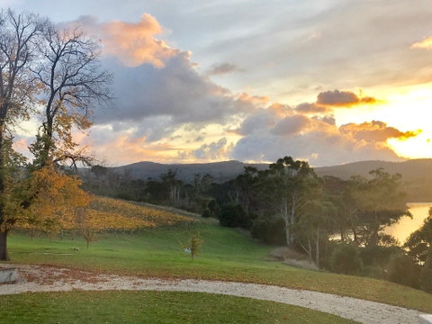 Waterton Hall Wines - Accommodation Mooloolaba 1