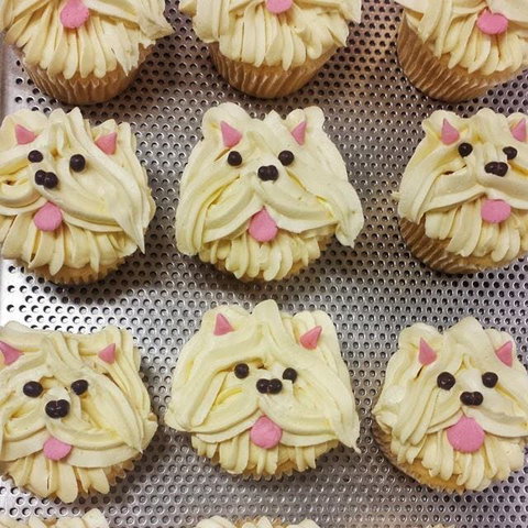 Cupcake Central - Hawthorn - Accommodation Mooloolaba 0