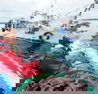 Peninsula Fresh Seafood - Accommodation Mooloolaba