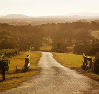 Petersons Wines