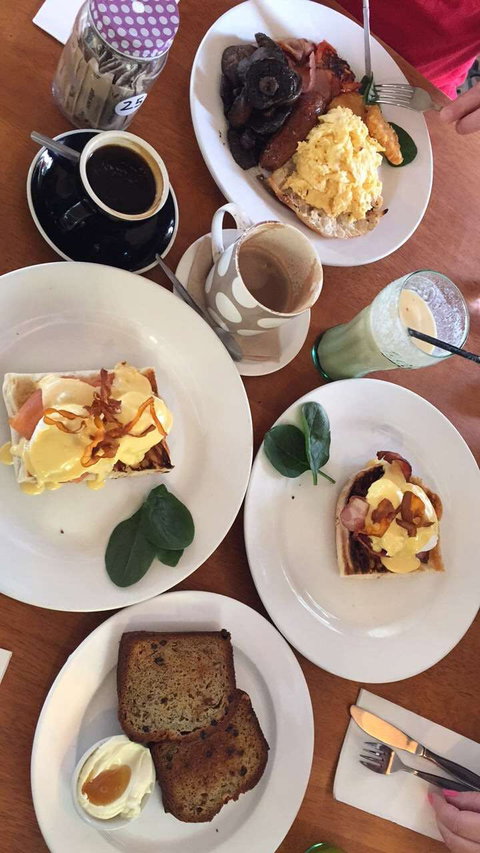 The Fig Tree - Accommodation Mooloolaba 0