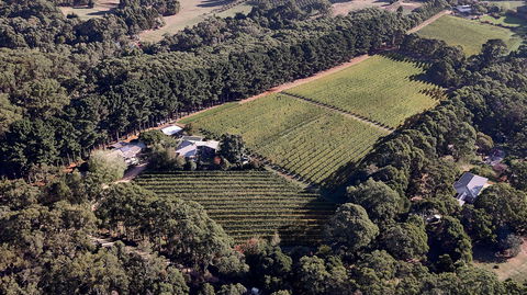 Main Ridge Estate - Accommodation Mooloolaba 1