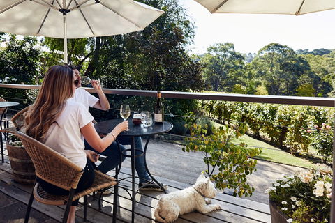 Main Ridge Estate - Accommodation Mooloolaba 2