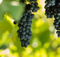 Garden  Field Wines - Accommodation Mooloolaba