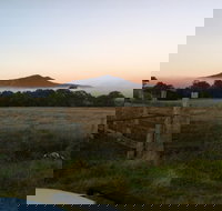 Mountainside Wines - Accommodation Mooloolaba