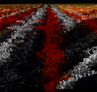 Sandhurst Ridge - Accommodation Mooloolaba