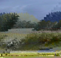 The Alchemist - Accommodation Mooloolaba