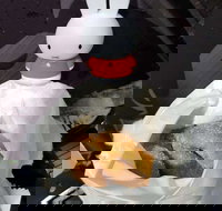 Lil' Orbit - Accommodation Mooloolaba