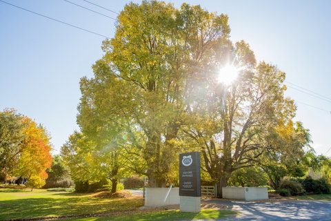 Brown Brothers Milawa Vineyard - Accommodation Mooloolaba 0