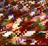 Flamin' Chix - Accommodation Mooloolaba