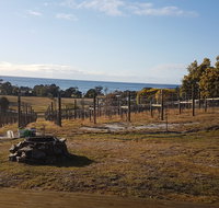 Overtime vineyard - Accommodation Mooloolaba