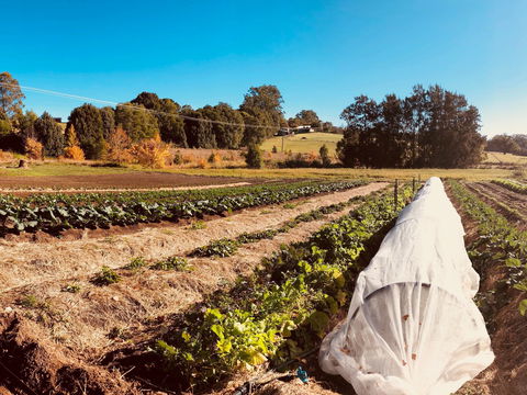 Synchronicity Farm - Accommodation Mooloolaba 0
