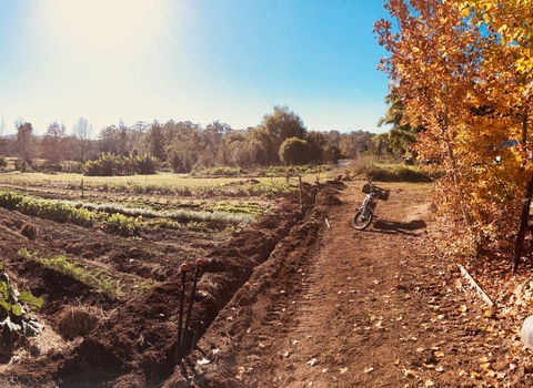 Synchronicity Farm - Accommodation Mooloolaba 1