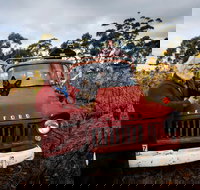 The Shiraz Republic - Accommodation Mooloolaba