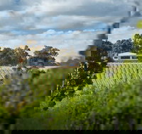 Victory Point Wines - Accommodation Mooloolaba