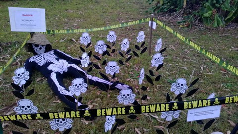 Hillbilly Coffee - Accommodation Mooloolaba 0