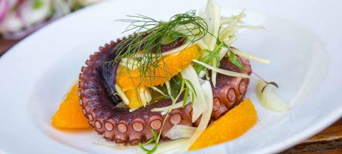 O Bar & Restaurant - Accommodation Mooloolaba 3