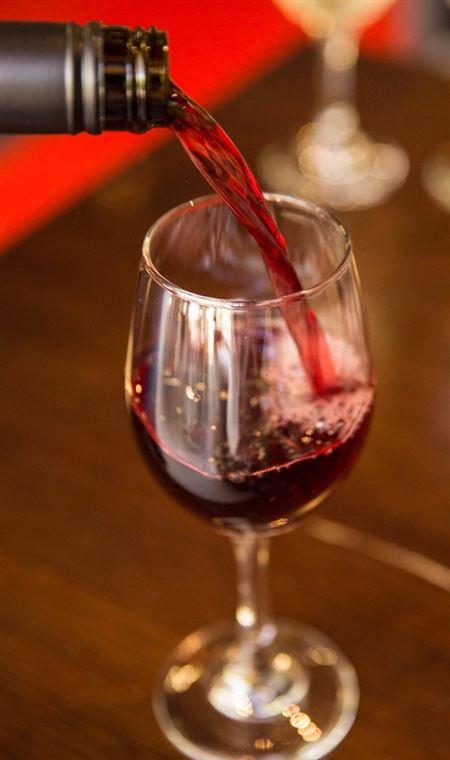 O Bar & Restaurant - Accommodation Mooloolaba 4