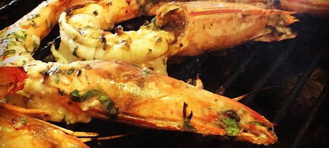 Xenia Grill - Accommodation Mooloolaba 6