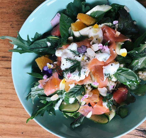 Homegrown Cafe - Accommodation Mooloolaba 11