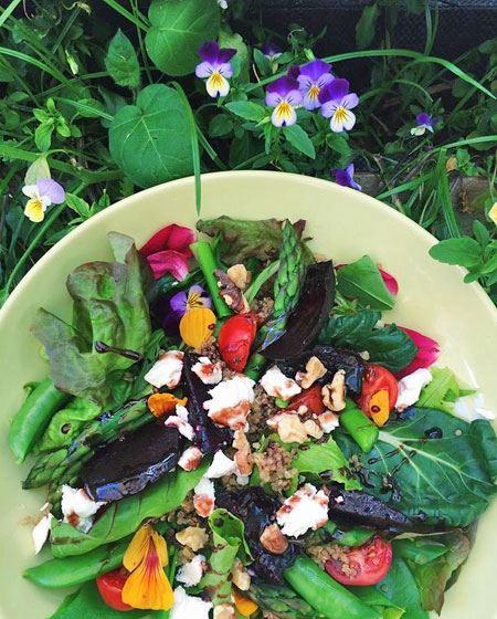 Homegrown Cafe - Accommodation Mooloolaba 7