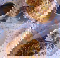 Willow  Squirrel - Accommodation Mooloolaba