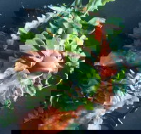 Little Red Providore - Accommodation Mooloolaba