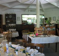 Daintree Tea House Restaurant - Accommodation Mooloolaba