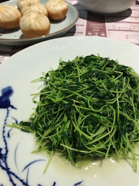 New Shanghai Chinese Restaurant - Accommodation Mooloolaba 9