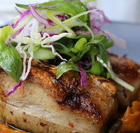 Barchino - Accommodation Mooloolaba