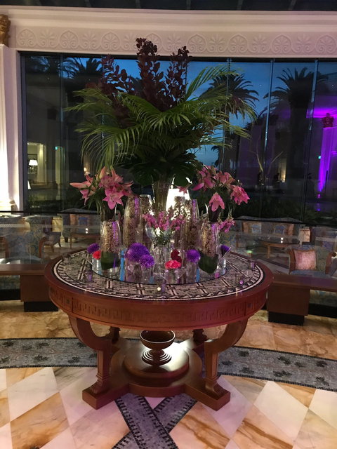 Vanitas - Accommodation Mooloolaba 13