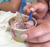 Frangipani Gelato - Accommodation Mooloolaba