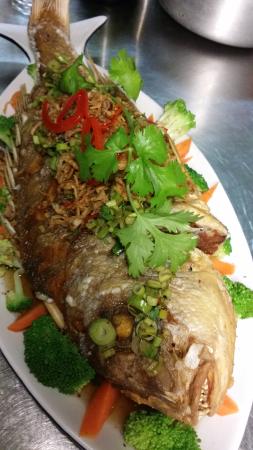 Vanidol's Asian Cuisine - Accommodation Mooloolaba 0