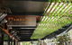 Amphoras Bar - thumb 0