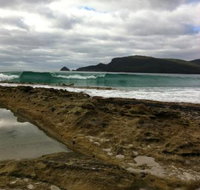 Bruny Island Berry Farm - Accommodation Mooloolaba