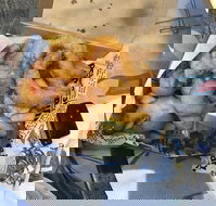 Chef's Catch - Accommodation Mooloolaba