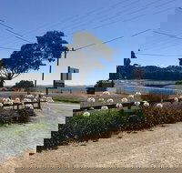 Penguin  Pardalote Coffee House - Accommodation Mooloolaba