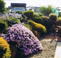 Pipers River Tea House and Crafts - Accommodation Mooloolaba