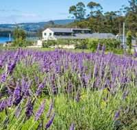 Port Arthur Lavender - Accommodation Mooloolaba