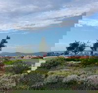 Coffee Cat - Accommodation Mooloolaba