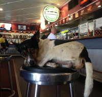 Dampier Mermaid - Accommodation Mooloolaba