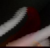 The Roast N Grill Cafe - Accommodation Mooloolaba