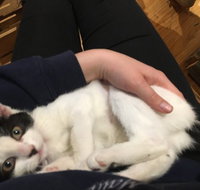 MeowMe Cafe - Accommodation Mooloolaba