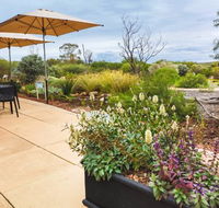 Arid Lands Botanic Garden Cafe - Accommodation Mooloolaba