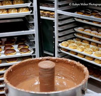 Krispy Kreme - Accommodation Mooloolaba