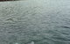 Whyalla Foreshore - thumb 1